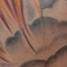Tattoos - Pheonix - 35201